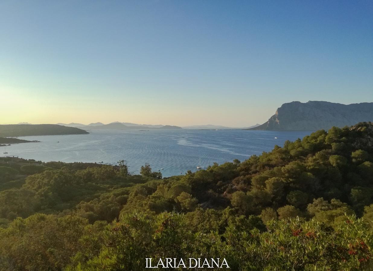 Residence Edilmare San Teodoro Экстерьер фото